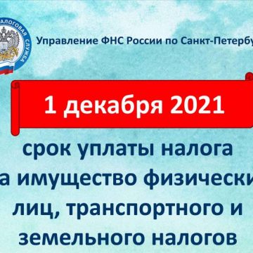 1 декабря — срок уплаты налогов